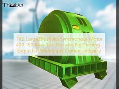 TXZ Duży bezszczotkowy silnik synchroniczny 400-15000kw 3kv-11kv z dużym momentem startowym dla przemysłu górniczego i cementu
