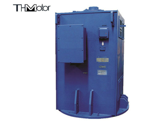 2800kw pionowo zamontowane 3-fazowe asynchroniczne silniki indukcyjne IP55 IP54