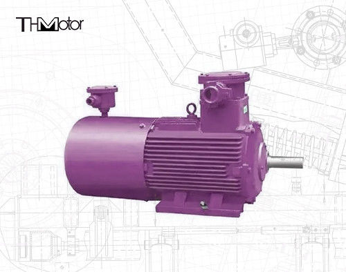 Silnik elektryczny przeciwwybuchowy IC411, stopień ochrony IP55, poziom hałasu ≤70dB