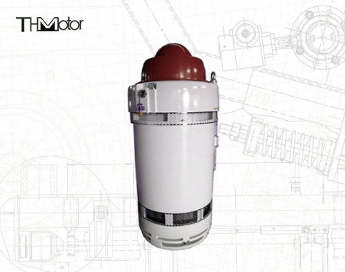 IP65 IE2 Silniki do zastosowań szczególnych WPII Obudowa o wyższej ochronie