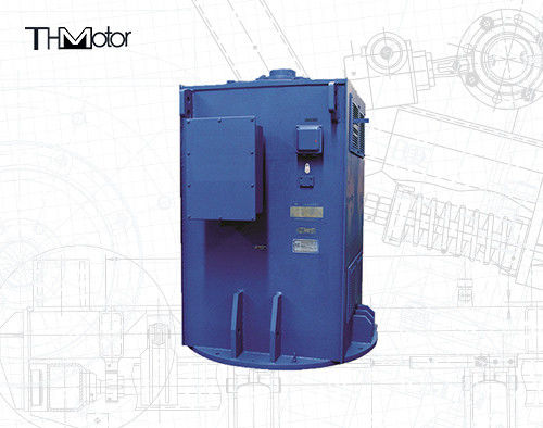 2800kw pionowo zamontowane 3-fazowe asynchroniczne silniki indukcyjne IP55 IP54