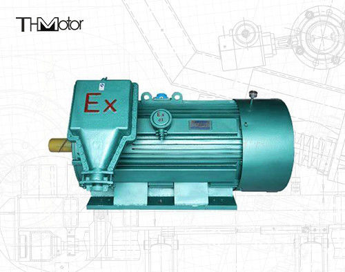 6 biegunów przeciwpłomień trójfazowy silnik asynchroniczny 10000V