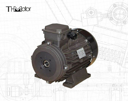 Silnik prądu stałego napięcia IP54/IP55 dla zastosowań przemysłowych