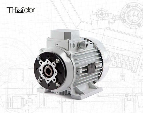 1000-12000kw 4/6 biegunów napięcie silnik prądu stałego wał pusty/wał stały dla zastosowań ciężkich