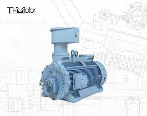 Wysokonapięciowy, asynchroniczny silnik elektryczny przeciwwybuchowy 1500 obr./min H800