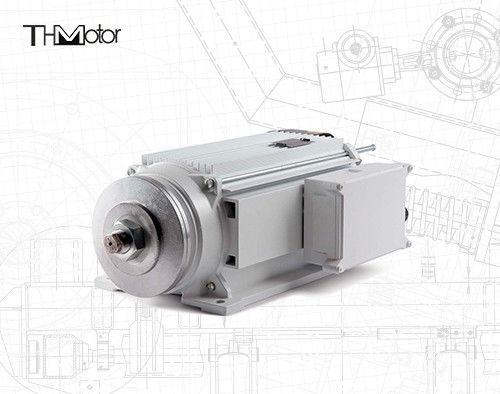 2200kw silnik indukcyjny typu rannościowy odporny na wybuch IP55 IP65