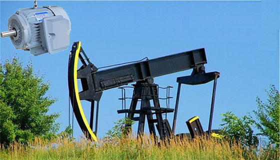 Silnik indukcyjny NEMA Premium o wysokim momencie obrotowym i dużym poślizgu IP55 do pomp naftowych