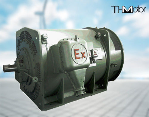 6 biegunów przeciwpłomień trójfazowy silnik asynchroniczny 10000V