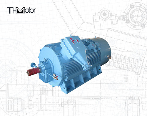 Silnik elektryczny przeciwwybuchowy 3600 obr./min IE2 z pompą, trójfazowy