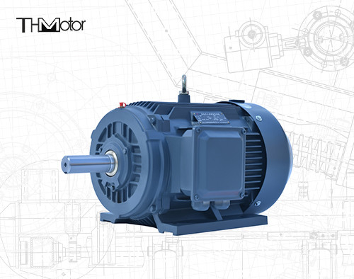 Silnik DC IP54/IP55 4/6 biegunów 0,4-75kW Moc Wał drążony Prędkość 1000 - 3000 obr./min